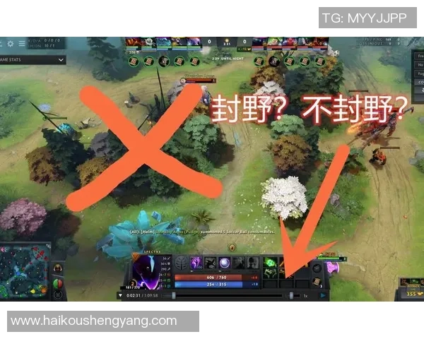 DOTA2战术：JDG的边路渗透体系
